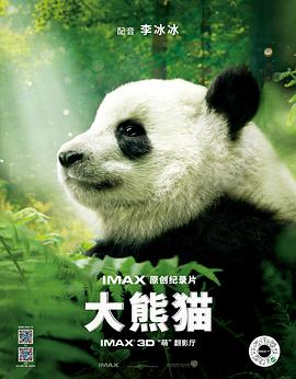 熊猫大师动画片